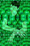 digital_green_diego.jpg (874415 byte)
