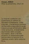 text_oopsmina.jpg (28193 byte)